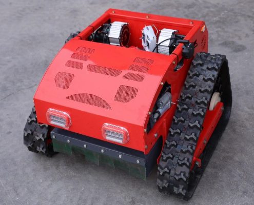 RC Lawn Mower LH550-9969