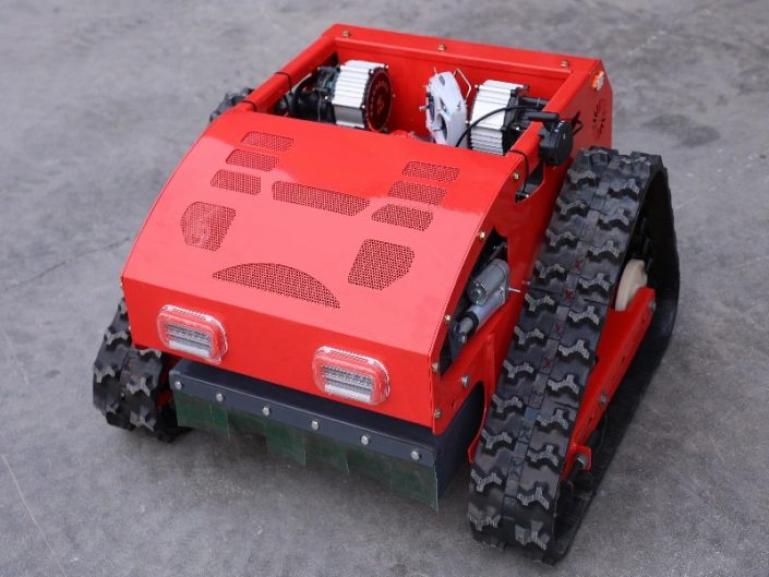 RC Lawn Mower LH550-9969